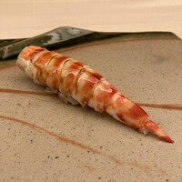 鮨 木場谷 - 天草産 えび