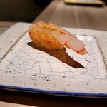 島津 - ボタン海老