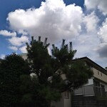 ラーメン二郎 - 梅雨明けしたのか～