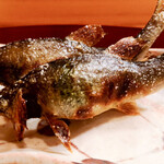 中善 - 琵琶湖の鮎