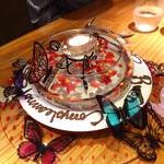 ドディチ・マッジョ - 