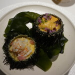 レフェルヴェソンス - 