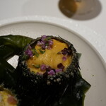 レフェルヴェソンス - 