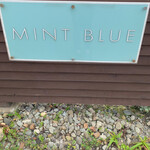 Cafe Mint Blue - 