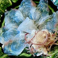 鮨 麻生 平尾山荘 - ③コチのうす造（玄界灘）