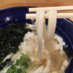 Sanuki Tachigui Udon Kirinya - 