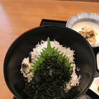 お料理 とみやま - 釜揚げしらす丼