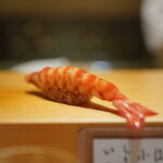 高柿の鮨 - 車海老