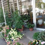 カフェ・アカリ - 