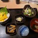 札幌駅北口酒場 めしと純米 - 生うに丼