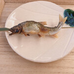 赤坂 菊乃井 -  鮎塩焼き 