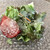 LUPINO - サラダ。葉物野菜とトマト。
玉ねぎドレッシングが甘酸っぱくて美味しいです。