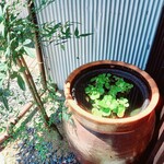 海鮮食堂 さばや - 