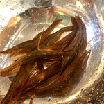 レストラン・モリエール - 