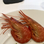 レストラン・モリエール - 