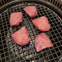 niku no OTO - 