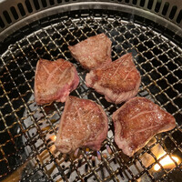 niku no OTO - 