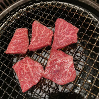 niku no OTO - 