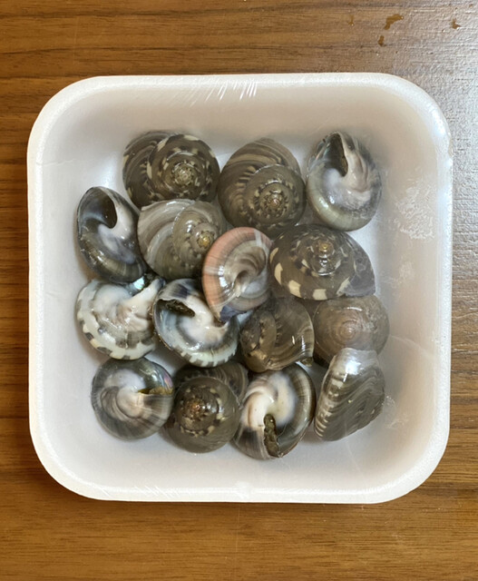大石商店 春日町 魚介料理 海鮮料理 食べログ 大石商店 春日町 魚介料理 海鮮料理 食べログ