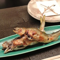 日本料理 木の花 - 