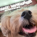 Village Vanguard DINER  - 