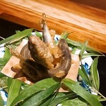 炭火割烹 白坂 - ⚫若鮎の天ぷら　木の芽酢