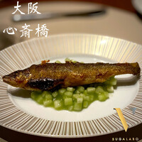 スガラボヴィー - 