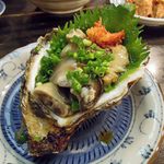 大衆料理　川治 - 岩カキ（12.10ver)