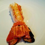 蒼 - 「さかな人長谷川さんより長井の赤座海老」最初にいただいた時の衝撃を思いだしました。どんなお料理があっても、これだけは揺るぎないスペシャリテ