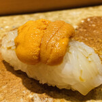 Sushi Shinobu - 白イカとウニ