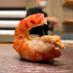 鮨 令歩 - (カウンター)令歩コース 13000円
      車海老