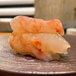 鮨 令歩 - (カウンター)令歩コース 13000円
      ボタンエビ