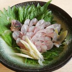 原養魚場 - せごし（お刺身）