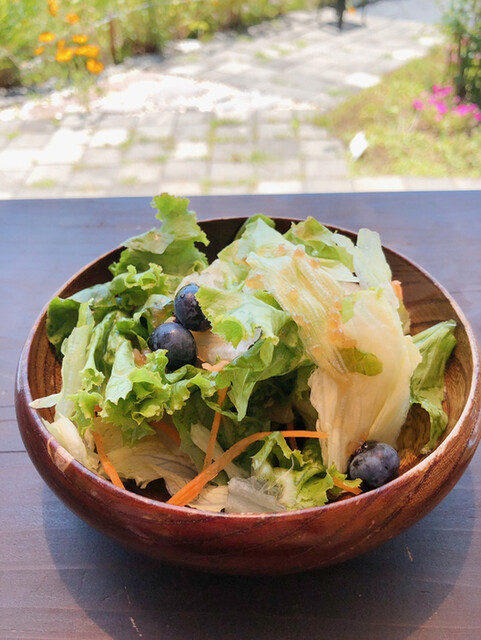 ぶるーべりーガーデンカフェ - 男鹿（カフェ）の写真