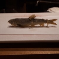 神楽坂 よこ田 - 