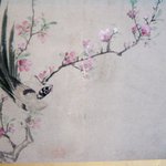 料理旅館白梅 - 