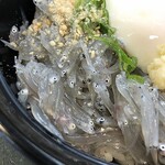 山海料理仁志乃 - 生しらす丼1100円