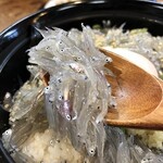 山海料理仁志乃 - 生しらす丼1100円