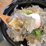 山海料理仁志乃 - 生しらす丼1100円