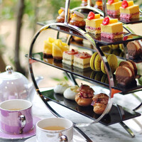 GENTLE Dining -  GENTLE Dining -
