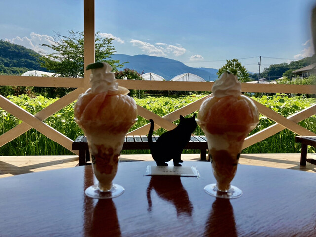 農家カフェ 森のガーデン 医王寺前 フルーツパーラー 食べログ 農家カフェ 森のガーデン 医王寺前 フルーツパーラー 食べログ