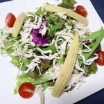 Steamed chicken salad ~Choice of dressing~