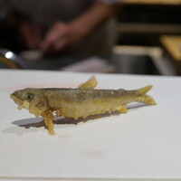 神楽坂 よこ田 - 稚鮎