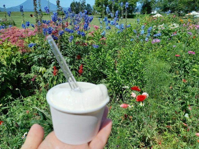 レークヒル ファーム Lake Hill Farm 洞爺湖町その他 アイスクリーム 食べログ レークヒル ファーム Lake Hill Farm 洞爺湖町その他 アイスクリーム 食べログ