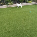 十割そば 香寿庵 狭山別館 - 無料のドッグラン