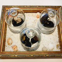 Terres de Truffes, Tokyo - 