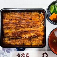 入谷鬼子母神門前のだや - 