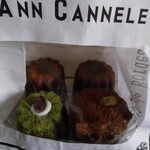 ANN CANNELE - 