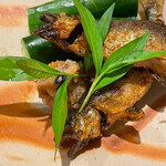 瞬 - 焼き揚げ鮎　胡瓜　万能麹味噌