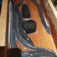 にょろ助 銀座 - 